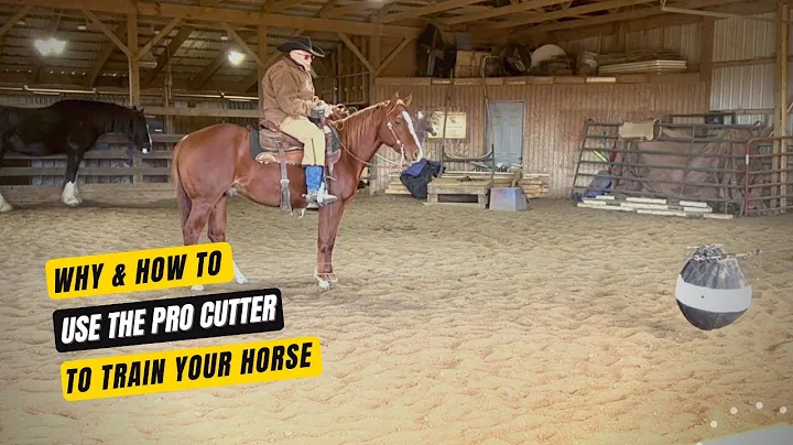 "Pro Cutter" Training With "OBD Image" - Why and How To Use It To Train Horses