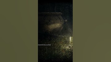 This mod is one huge TROLL #modded #eldenring #dlc