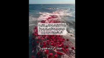 سورة النساء ٤٨ #قرآن #قرآن_كريم #قران #قران_كريم #قرأن #quran