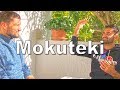 What is my Mokuteki? How I found my purpose | Mokuteki Podcast