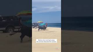 Bull Attacks Woman On Beach #Shorts