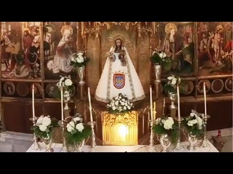 Video: Tudela engalanada para celebrar Santa Ana 2023