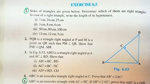 CLASS 10 MATH EXERCISE 6.5 NCERT SOLUTIONS || CHAPTER 6 TRIANGLES || CBSE || NCERT SOLUTIONS