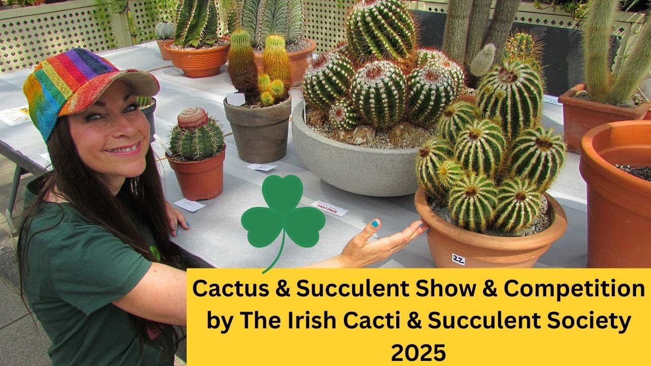 Cactus & Succulent Show & Competition by the Irish Cactus & Succulent Society 2025