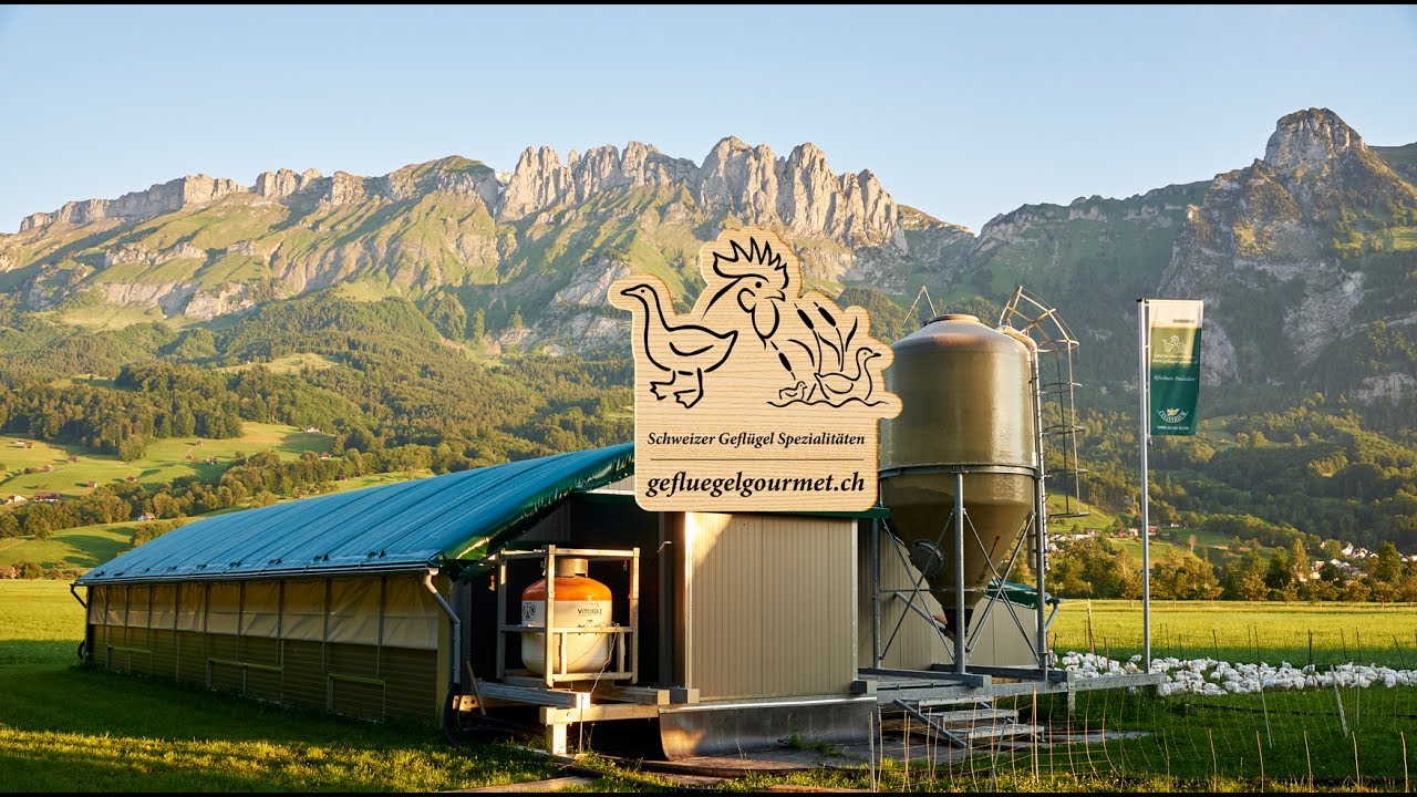reportage-mobilstall-gefl-gel-gourmet-youtube
