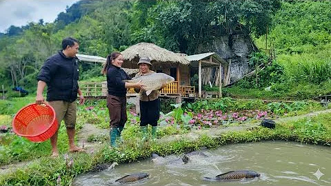 BINH and NGOC returned to the old farm to drain the pond and release fish. Renovating the fish pond.