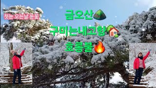 첫눈오는날:눈꽃구경#금오산🎶#구미는내고향🎶#호롱불🎶#금순이:원곡