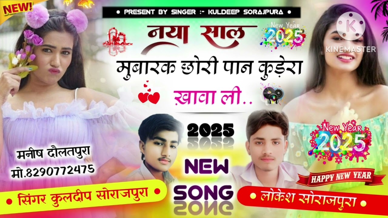 2025 हैप्पी न्यू ईयर न्यू मीना साँग // नया साल मुबारक // छोरी पान गुटका खाबाडी // न्यू मीना गीत