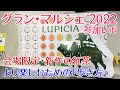 【ルピシア グラン・マルシェ参加レポ】オススメの限定紅茶や新作、会場の「歩き方」を紹介！【LUPICIA】
