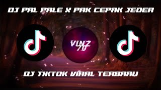 DJ PAL PALE PALE x PAK CEPAK CEPAK JEDER REMIX TIKTOK VIRAL TERBARU 2021
