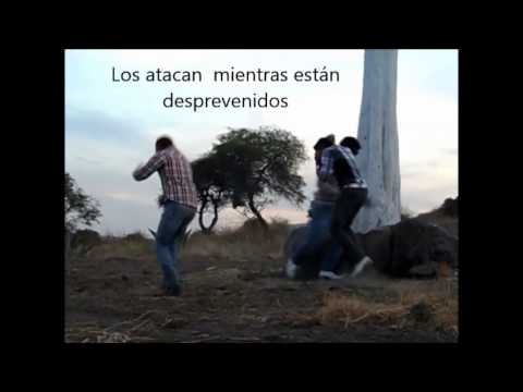 PELICULA NARCOS VS CHOLOS - YouTube