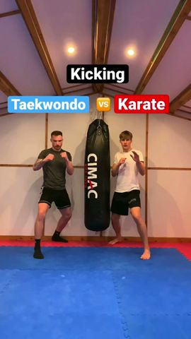 Taekwondo Vs Karate | Kicks #shorts