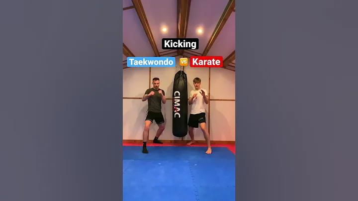 Taekwondo Vs Karate | Kicks #shorts - DayDayNews