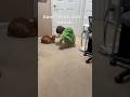 I’m selling my house#house #tinyhouse #shorts #rent