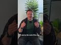 Technique can kill singing.