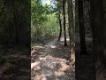 Find Your Peace#outdoors #peace #hiking #nature #walking #life #forest #freedom #escape #mindfulness