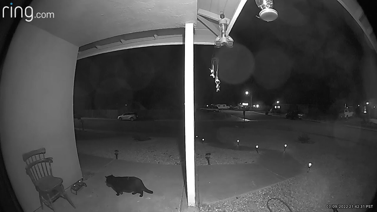 New visitor or old returning?🤔