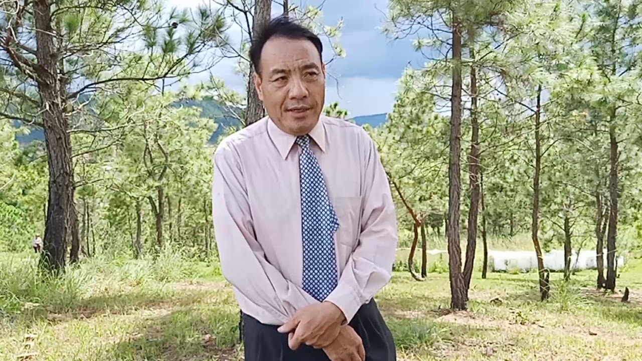 Zaj tshoob qhib qhov rooj