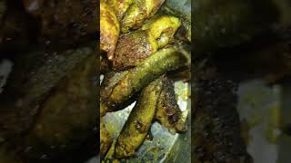 fish fry curry recipe #song #food #fishing #fish #fishfry #viral #trending #spicyfish #fishthali