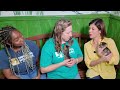 Houston Humane Society asks for help with surge of kittens coming into shelter