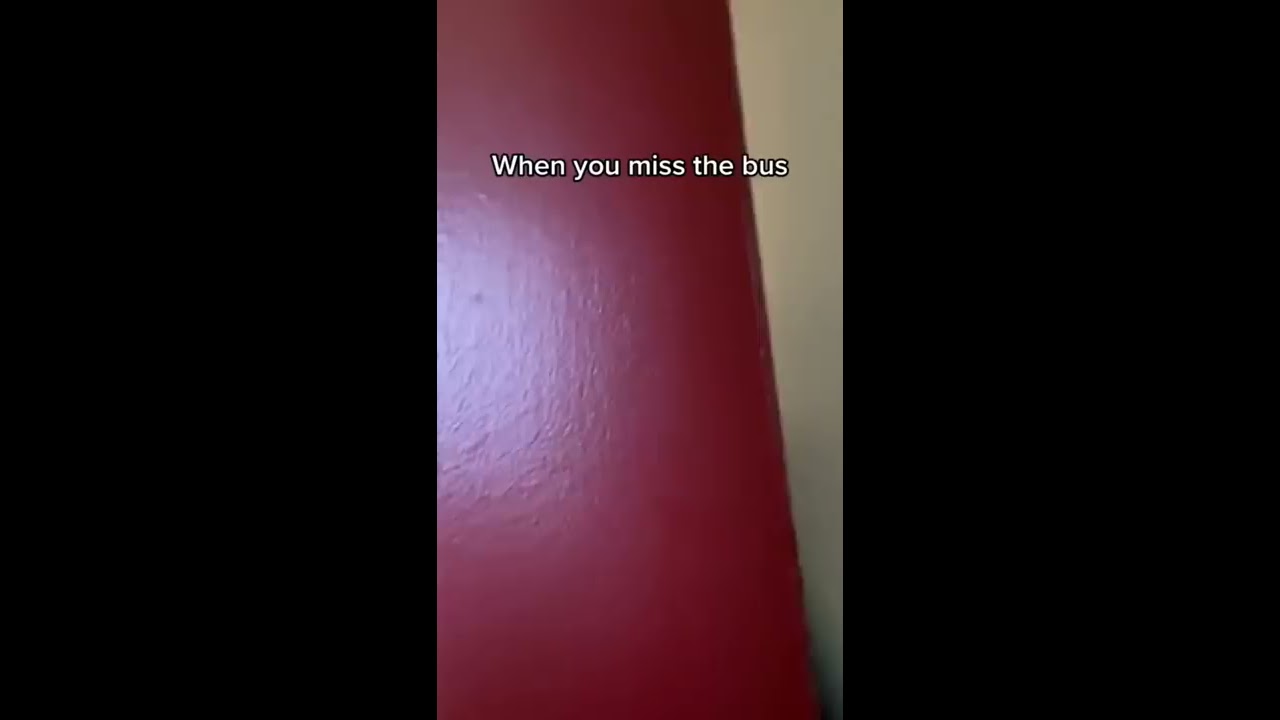 When You Miss The School Bus