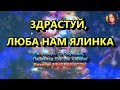 ЗДРАСТУЙ ЛЮБА НАМ ЯЛИНКА НІНОЧКА КОЗІЙ 