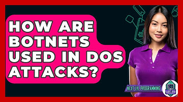 How Are Botnets Used In DoS Attacks? - Next LVL Programming