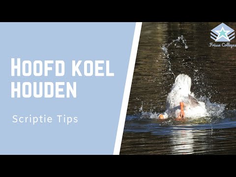 Video: Hoe u koel en fris blijft tijdens de zomer: 9 stappen