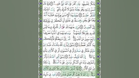 31 سورة لقمان- الشيخ عبد الله بصفر