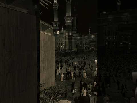 توكل على الله في كل أمر   