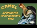 Camel - Дромедарии прогрессивного рока