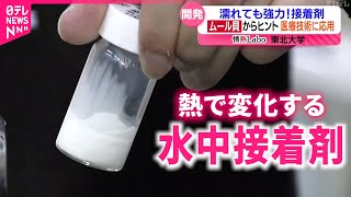 【開発】