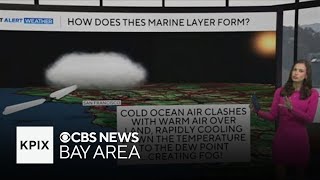 Zoomin’ around with Zoe: How does the Bay Area fog form