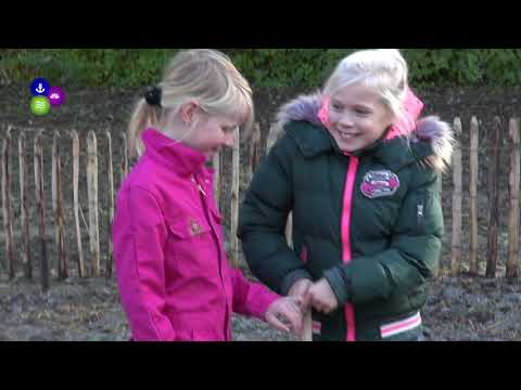 Wethouder Mary van Gent plant eerste boom Tiny Forest Nieuwe Niedorp