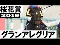 「牝馬頂点は譲らない！グランアレグリア」【桜花賞2019】実況：川島壮雄アナ