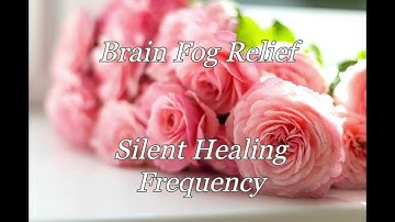 Brain Fog Relief Silent Healing Frequency