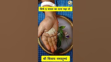 धन लाभ के लिए चावल के दाने से करें ये उपाय 🪔 #shortsfeed #upay #pradeepmishra #shortfeed #shorts