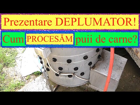 Video: Care sunt caracteristicile unui ecosistem estuar?