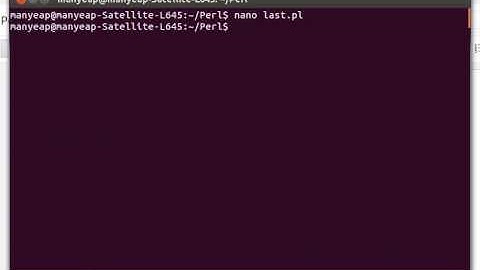 Perl Last Statement Example