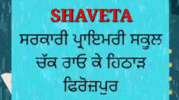 PAS based Questions Series Subject Punjabi Class 5th Worksheet no (4)