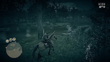 RDR2 Online: WTF Change Session!