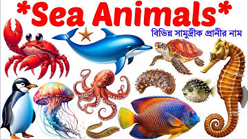 Sea Animals Name🐠🦈 | Sea Animals for Kids | Sea Animals Name Bengali to English | Animals Name