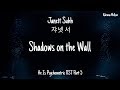Gambar cover Janett Suhh 쟈넷 서 - Shadows on the Wall He Is Psychometric OST Part 5 Lyrics English