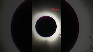 🌘Total solar eclipse dazzles North America