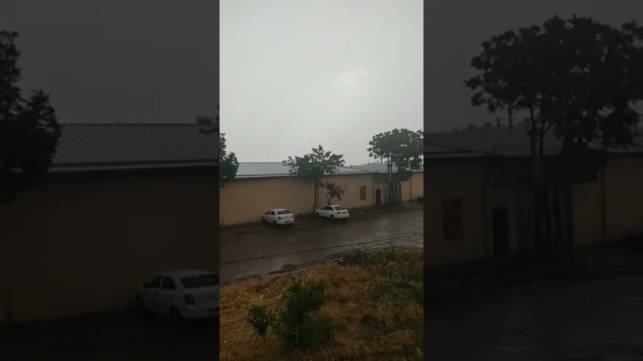 Гром, дождь, Ташкент. 20 июня. Лето где? Where is summer? Tashkent, Jun 20.