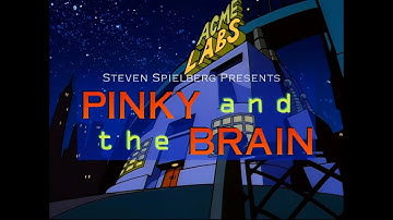 Pinky and the Brain - Intro HD - Remastered - 60 FPS