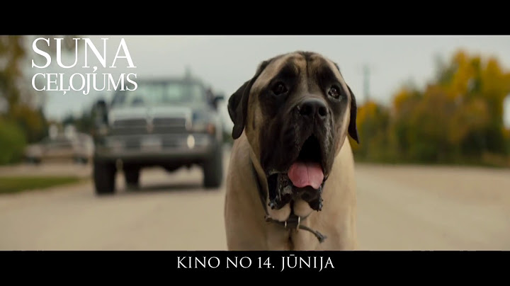 Filma visai ģimenei "Suņa ceļojums" - kino no 14. jūnija!