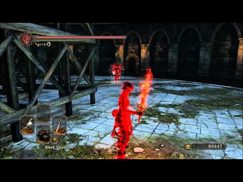 Best fight I've had in Dark Souls 2 so far