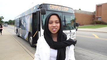 How to Ride the Saluki Express