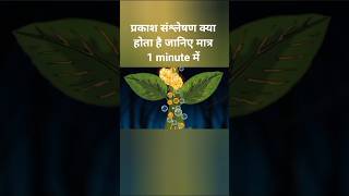 photosynthesis process #hindieducation #photosynthesis #ncert #sciencevideo #plantbiology #neetexam